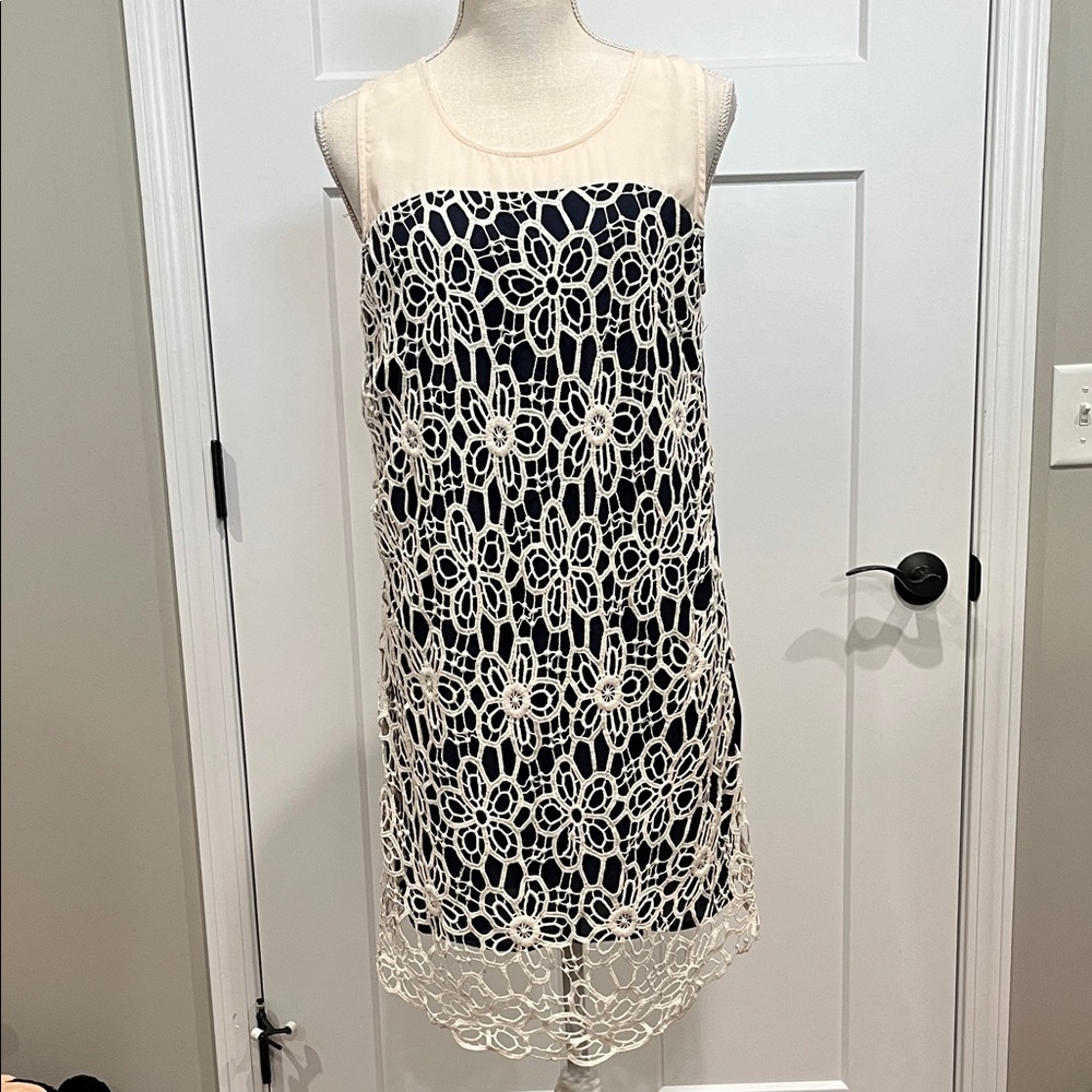 Altar'd State Cream and Black Lace Overlay Dress